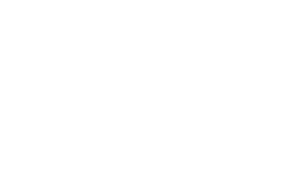 Comité de 100